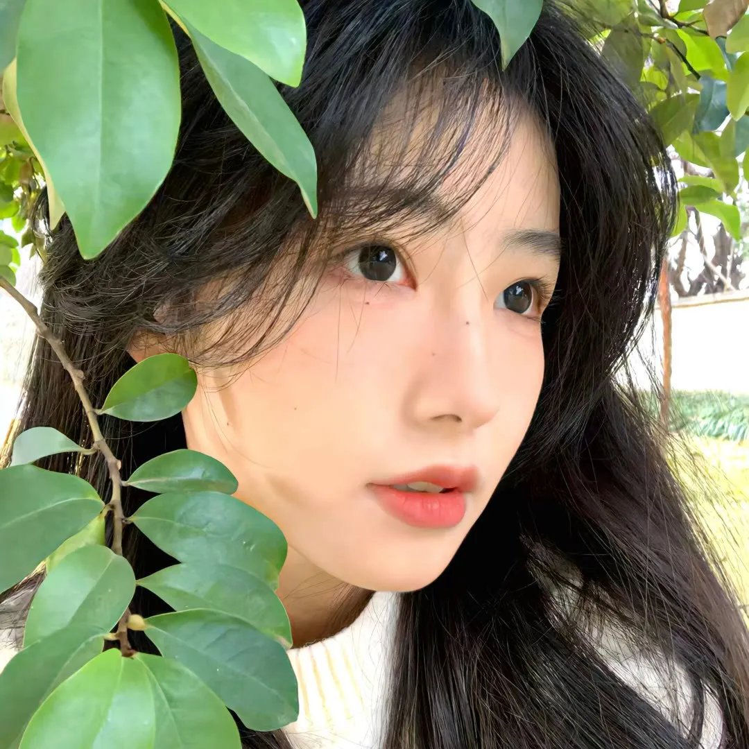 寻家第一季