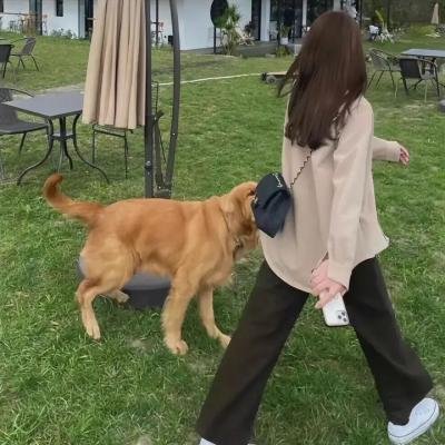 知己知彼